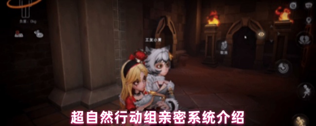 超自然行动组亲密系统介绍