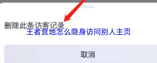王者营地怎么隐身访问别人主页
