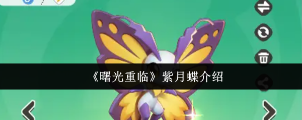 《曙光重临》紫月蝶介绍