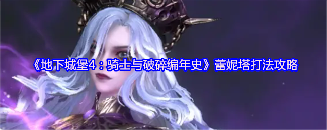 《地下城堡4：骑士与破碎编年史》蕾妮塔打法攻略