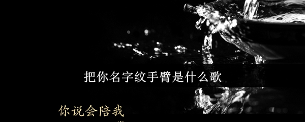 把你名字纹手臂是什么歌