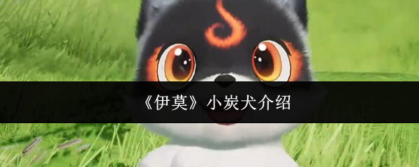 《伊莫》小炭犬介绍