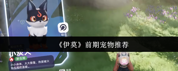 《伊莫》前期宠物推荐