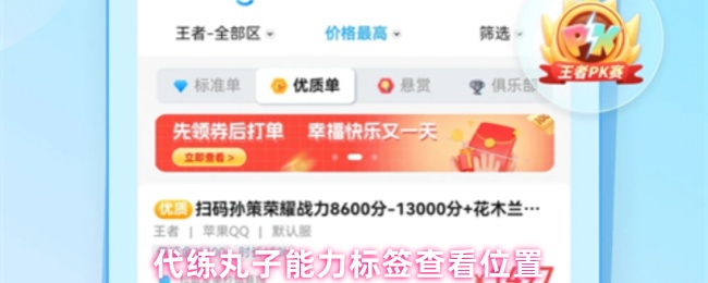 代练丸子能力标签查看位置