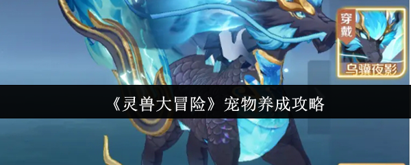《灵兽大冒险》宠物养成攻略