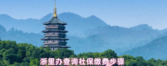 浙里办查询社保缴费步骤