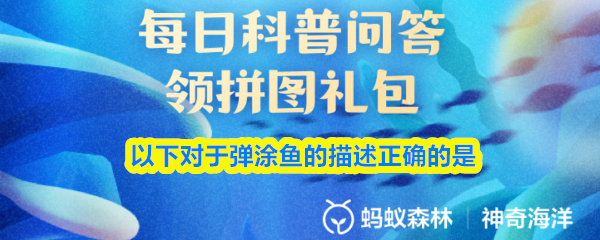 以下对于弹涂鱼的描述正确的是