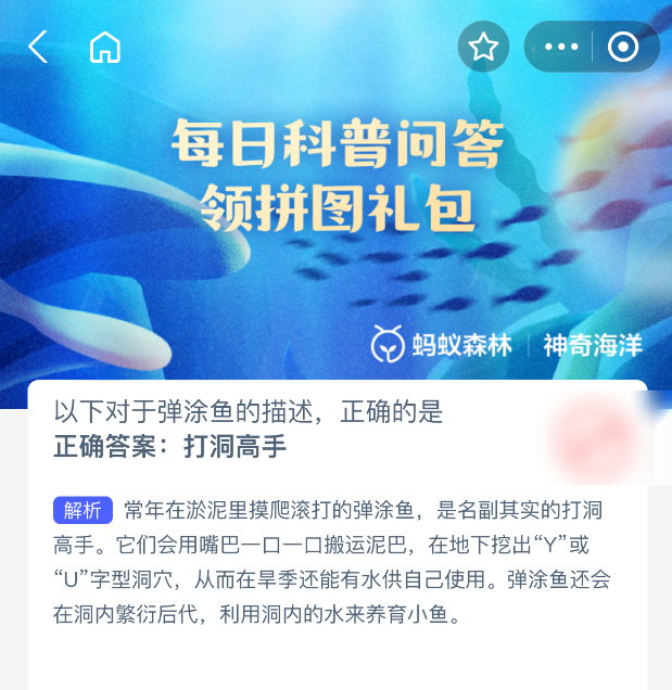以下对于弹涂鱼的描述正确的是