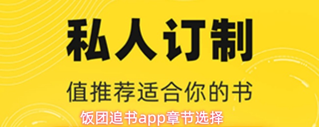饭团追书app章节选择