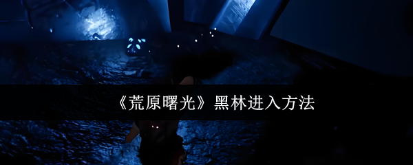 《荒原曙光》黑林进入方法
