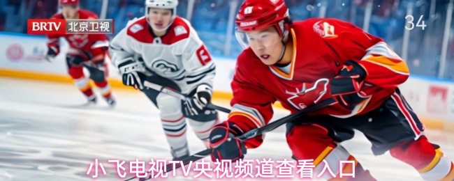 小飞电视TV央视频道查看入口