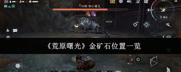 《荒原曙光》金矿石位置一览