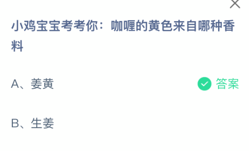 小鸡宝宝考考你：咖喱的黄色来自哪种香料