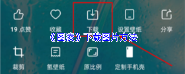 《图凌》下载图片方法