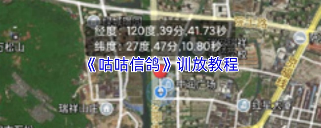 《咕咕信鸽》训放教程