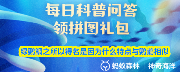 绿鹦鲷因何似鹦鹉得名