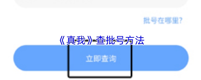 《真我》查批号方法