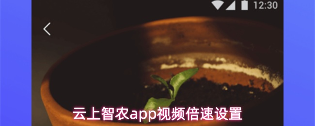云上智农app视频倍速设置