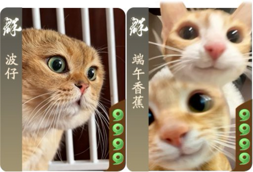 《三国杀：一将成名》周年庆明日开启，全新模式、多重福利等你来战！