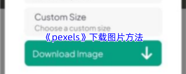 《pexels》下载图片方法