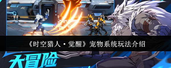 《时空猎人·觉醒》宠物系统玩法介绍
