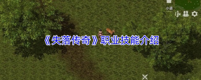 《失落传奇》职业技能介绍
