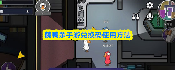 鹅鸭杀手游兑换码使用方法