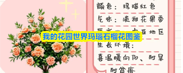 我的花园世界玛瑙石榴花图鉴