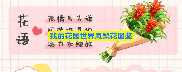 我的花园世界凤梨花图鉴