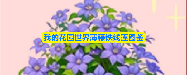 我的花园世界薄藤铁线莲图鉴