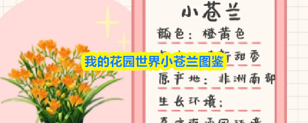 我的花园世界小苍兰图鉴