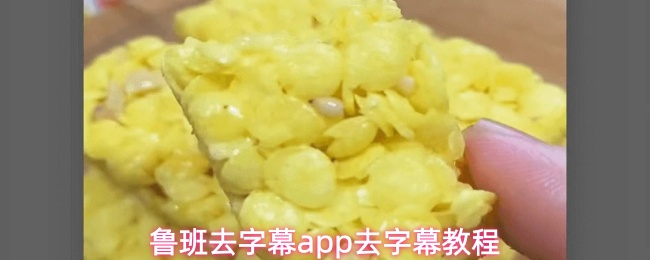 鲁班去字幕app去字幕教程