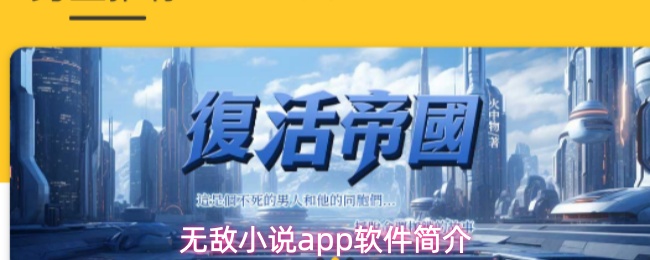 无敌小说app软件简介