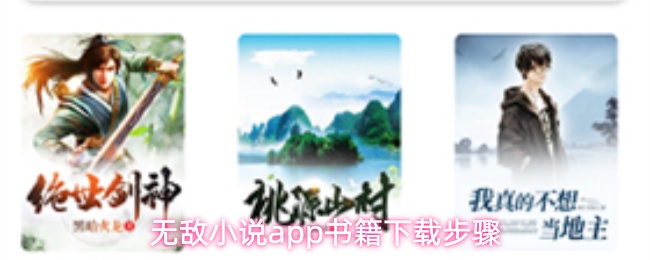 无敌小说app书籍下载步骤