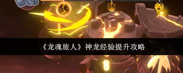 《龙魂旅人》神龙经验提升攻略