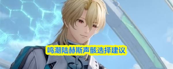 鸣潮陆赫斯声骸选择建议