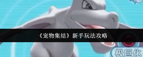 《宠物集结》新手玩法攻略