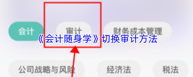 《会计随身学》切换审计方法