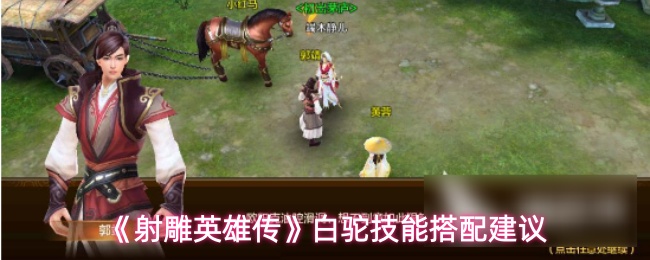 《射雕英雄传》白驼技能搭配建议
