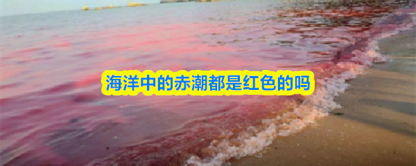 海洋中的赤潮都是红色的吗