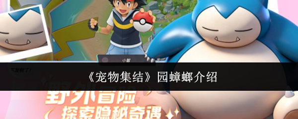 《宠物集结》园蟑螂介绍