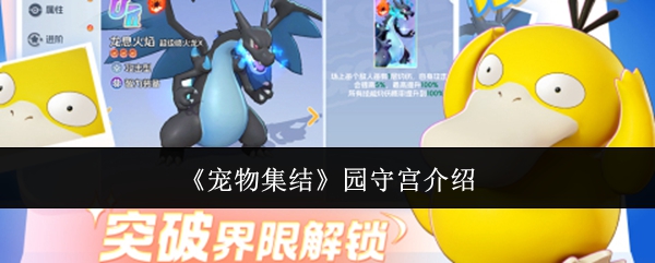 《宠物集结》园守宫介绍