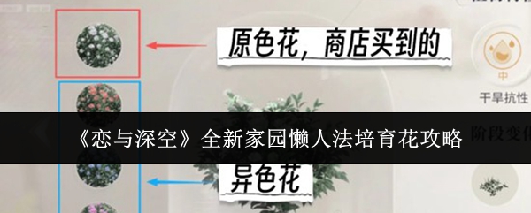 《恋与深空》全新家园懒人法培育花攻略