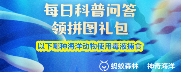 以下哪种海洋动物使用毒液捕食