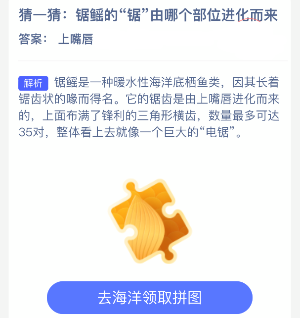 锯鳐的“锯”由哪个部位进化而来