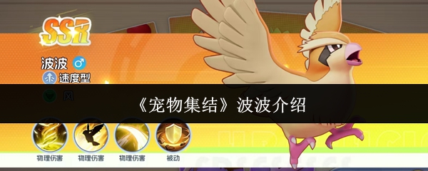 《宠物集结》波波介绍