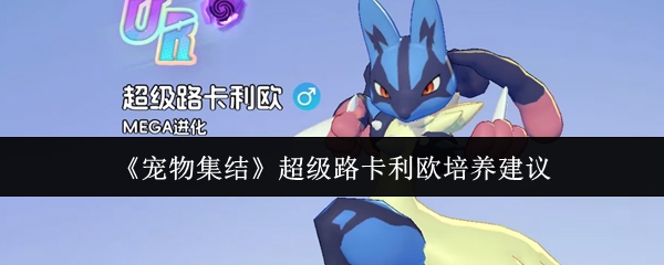 《宠物集结》超级路卡利欧培养建议