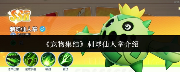 《宠物集结》刺球仙人掌介绍
