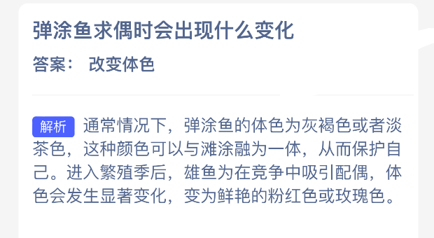 弹涂鱼求偶时会出现什么变化