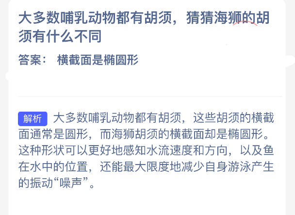 大多数哺乳动物都有胡须猜猜海狮的胡须有什么不同